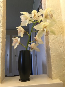 Photo of white orchid stem in black vase, sitting in wall nook.