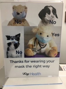 Photo of sign with text "Thanks for wearing your mask the right way" and 4 pictures of 4 very cute stuffed animals and real animals modeling correct and incorrect mask wearing.  One is is a dog with a mask in its mouth which is particularly hilarious.  